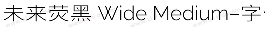 未来荧黑 Wide Medium字体转换